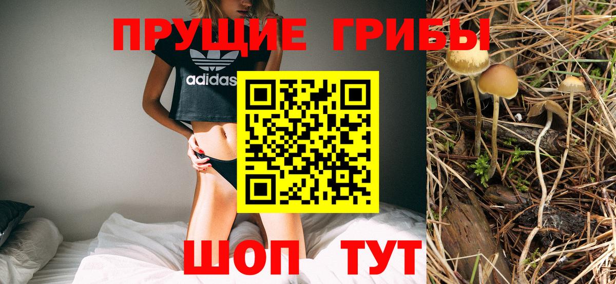 Галлюциногенные грибы мицелий  Псилоцибиновые грибы мухоморы  Вход с VPN  Пугачёв 